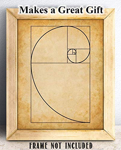 Fibonacci Spiral - 11x14 Unframed Art Print - Makes a Great Gift Under $15 for Artists