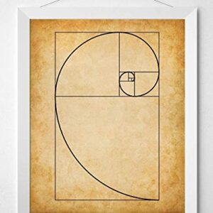 Fibonacci Spiral - 11x14 Unframed Art Print - Makes a Great Gift Under $15 for Artists