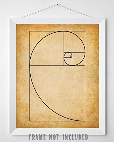 Fibonacci Spiral - 11x14 Unframed Art Print - Makes a Great Gift Under $15 for Artists