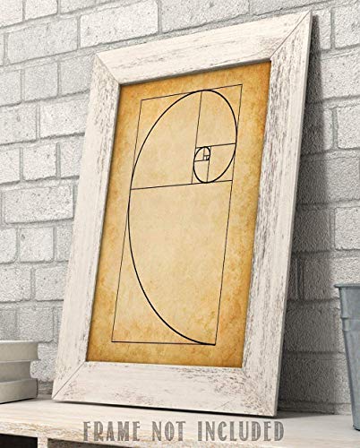 Fibonacci Spiral - 11x14 Unframed Art Print - Makes a Great Gift Under $15 for Artists