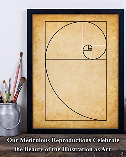 Fibonacci Spiral - 11x14 Unframed Art Print - Makes a Great Gift Under $15 for Artists