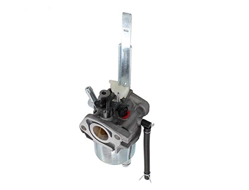 Cnfaner 208cc Carburetor Carb for Snow Blower Ariens 20001027 20001368 LCT 03121 03122 532436565 Snow Engine