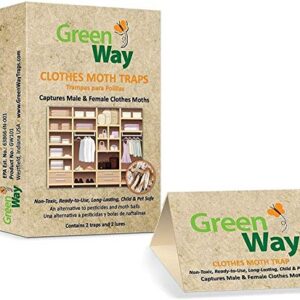 Greenway Clothes Moth Traps (24 Traps) - Moth Traps for Clothes Closets - Alternative to Cedar Balls and Moth Balls for Closet - Pheromone Attractant