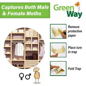 Greenway Clothes Moth Traps (24 Traps) - Moth Traps for Clothes Closets - Alternative to Cedar Balls and Moth Balls for Closet - Pheromone Attractant