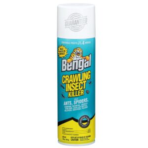bengal crawling insect killer, indoor and outdoor aerosol ant and spider killer, 16 oz. aerosol can