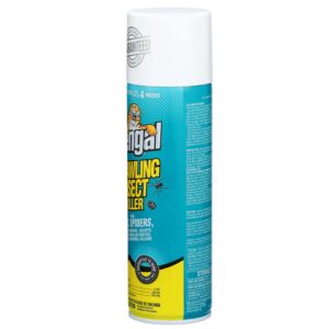 Bengal Crawling Insect Killer, Indoor and Outdoor Aerosol Ant and Spider Killer, 16 Oz. Aerosol Can