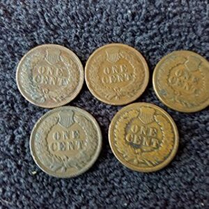 1900 No Mint Mark thru 1909 Various Indian Head Pennies Set of 5 coins all Different Dates - in Gift Bag Indian Head Good and Better (1c) Seller Genuine