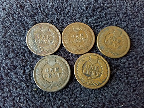 1900 No Mint Mark thru 1909 Various Indian Head Pennies Set of 5 coins all Different Dates - in Gift Bag Indian Head Good and Better (1c) Seller Genuine