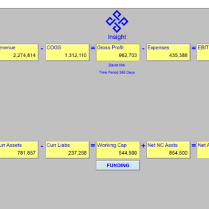 Insight Business Performance Software [Download]