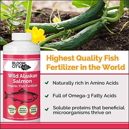 Organic Wild Fish Fertilizer and Plant Supplement, Great for Roots and Soil, Made from Sustainable Salmon, by Bloom City, Quart (32 oz)