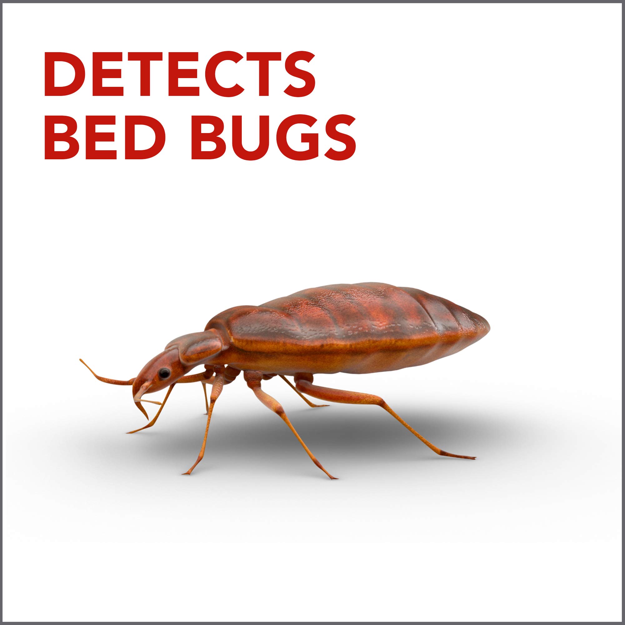 Raid Bed Bug Detector and Trap, For Indoor Use, 4 Count