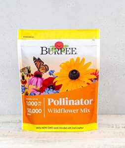 burpee wildflower seed mix for pollinators