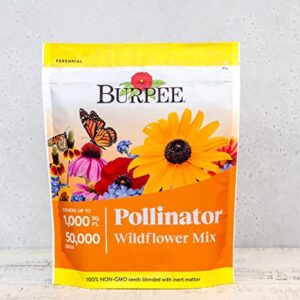 Burpee Wildflower Seed Mix for Pollinators