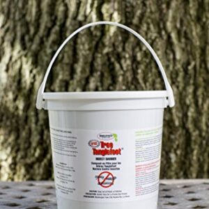 Tanglefoot Insect Barrier, 4.5 lb. Pail