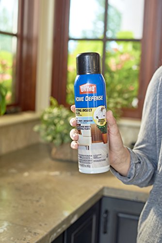 Ortho Home Defense Flying Insect Killer Aerosol 16 oz