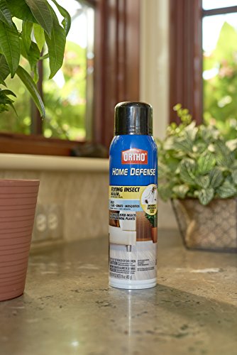 Ortho Home Defense Flying Insect Killer Aerosol 16 oz