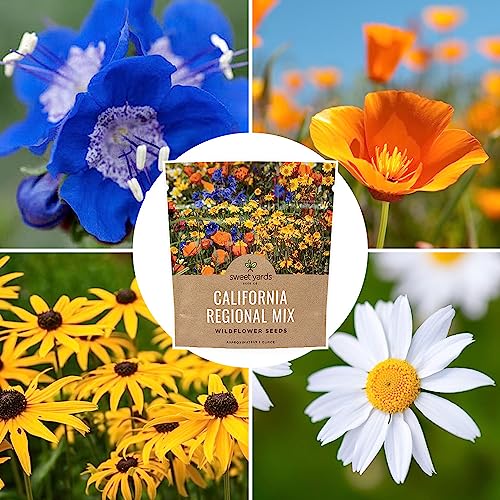 California Wildflower Mixture - Bulk 1 Ounce Packet - Over 7,000 Native Seeds - Open Pollinated and Non GMO