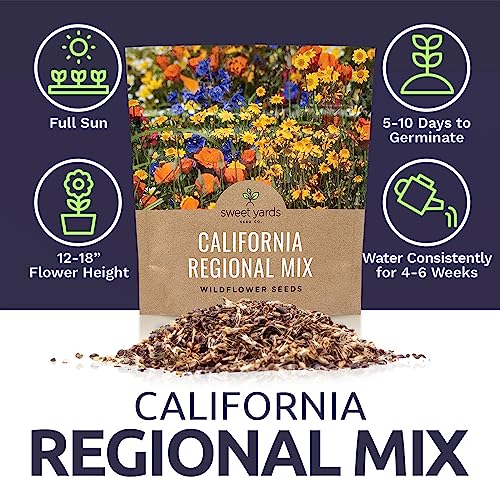 California Wildflower Mixture - Bulk 1 Ounce Packet - Over 7,000 Native Seeds - Open Pollinated and Non GMO