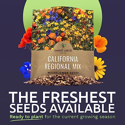 California Wildflower Mixture - Bulk 1 Ounce Packet - Over 7,000 Native Seeds - Open Pollinated and Non GMO