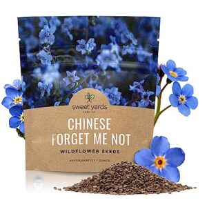 chinese forget me not wildflower seeds - bulk 1 ounce packet - over 5,500 open pollinated seeds - blue cynoglossum amabile