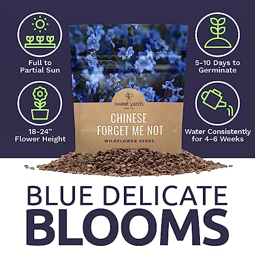 Chinese Forget Me Not Wildflower Seeds - Bulk 1 Ounce Packet - Over 5,500 Open Pollinated Seeds - Blue Cynoglossum amabile