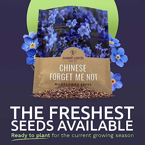 Chinese Forget Me Not Wildflower Seeds - Bulk 1 Ounce Packet - Over 5,500 Open Pollinated Seeds - Blue Cynoglossum amabile