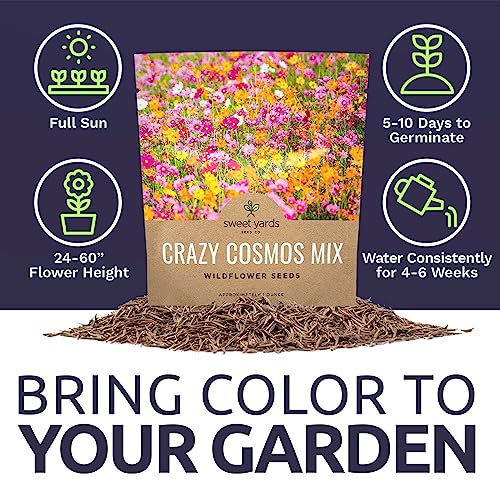 Cosmos Seeds Wildflower Mixture - Bulk 1 Ounce Packet - Over 5,000 Seeds - Pink, Yellow, Orange, Red, Purple and White Mixed Species!