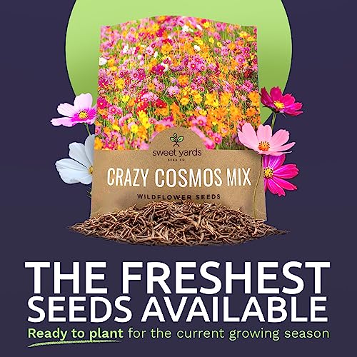 Cosmos Seeds Wildflower Mixture - Bulk 1 Ounce Packet - Over 5,000 Seeds - Pink, Yellow, Orange, Red, Purple and White Mixed Species!