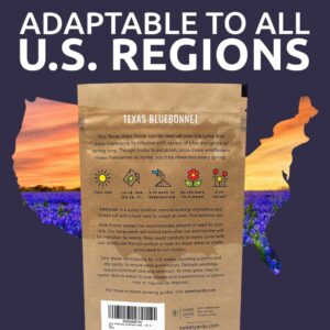 Texas Bluebonnet Wildflower Seeds - Bulk 1/2 Ounce Packet - Over 500 Native Seeds - Texas State Flower!