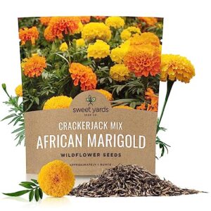 african marigold seeds crackerjack mix - bulk 1 ounce packet - over 10,000 seeds - huge orange and yellow blooms
