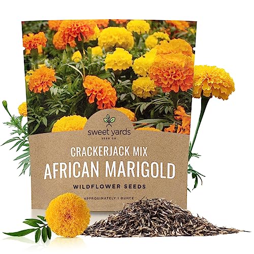 African Marigold Seeds Crackerjack Mix - Bulk 1 Ounce Packet - Over 10,000 Seeds - Huge Orange and Yellow Blooms