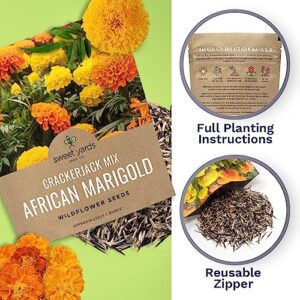 African Marigold Seeds Crackerjack Mix - Bulk 1 Ounce Packet - Over 10,000 Seeds - Huge Orange and Yellow Blooms