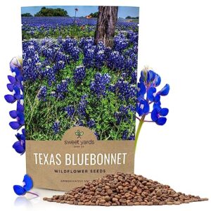 Texas Bluebonnet Wildflower Seeds - Bulk 1/4 Pound Bag - Over 4,000 Native Seeds - Texas State Flower!