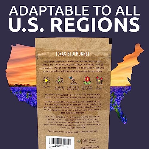 Texas Bluebonnet Wildflower Seeds - Bulk 1/4 Pound Bag - Over 4,000 Native Seeds - Texas State Flower!