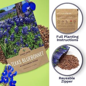 Texas Bluebonnet Wildflower Seeds - Bulk 1/4 Pound Bag - Over 4,000 Native Seeds - Texas State Flower!