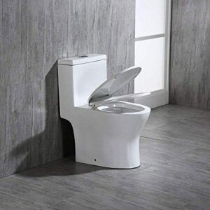 WOODBRIDGEE Modern Elongated One piece Toilet Dual flush 1.0/1.6 GPF,with Soft Closing Seat,1000 Gram MaP Flushing Score,white,T-0032