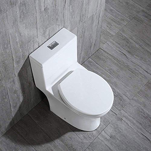 WOODBRIDGEE Modern Elongated One piece Toilet Dual flush 1.0/1.6 GPF,with Soft Closing Seat,1000 Gram MaP Flushing Score,white,T-0032