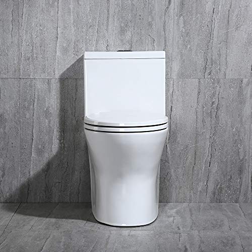WOODBRIDGEE Modern Elongated One piece Toilet Dual flush 1.0/1.6 GPF,with Soft Closing Seat,1000 Gram MaP Flushing Score,white,T-0032
