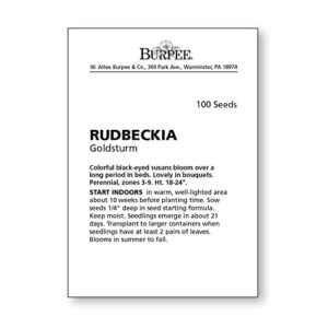 Burpee Goldsturm Rudbeckia Seeds 100 seeds