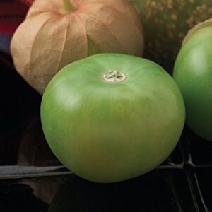 Burpee Gigante Tomatillo Seeds 160 seeds