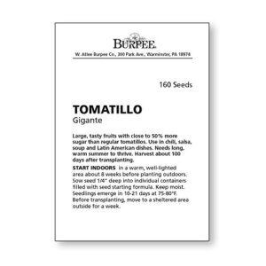 Burpee Gigante Tomatillo Seeds 160 seeds