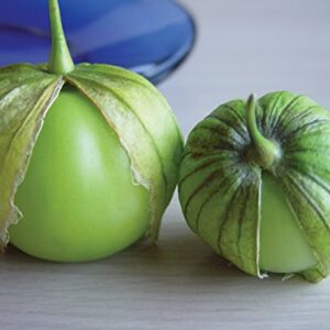 Burpee Gigante Tomatillo Seeds 160 seeds