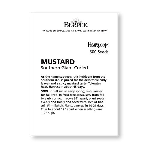 Burpee Southern Giant Curled Mustard Seeds 500 seeds