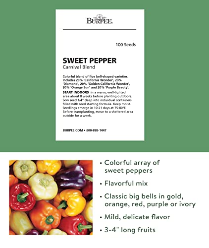 Burpee Carnival Mix Sweet Pepper Seeds 100 seeds