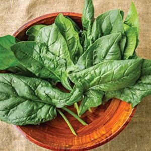 Burpee A La Carte Hybrid Spinach Seeds 300 seeds