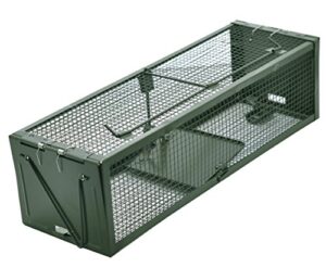 live animal humane trap 2-door mouse trap cage for chipmunk, rats, squirrels, voles, rodent and small size pests