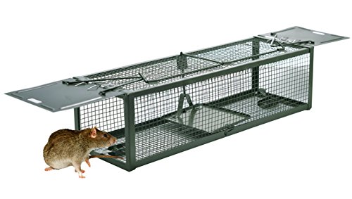 Live Animal Humane Trap 2-Door Mouse Trap Cage for Chipmunk, Rats, Squirrels, Voles, Rodent and Small Size Pests