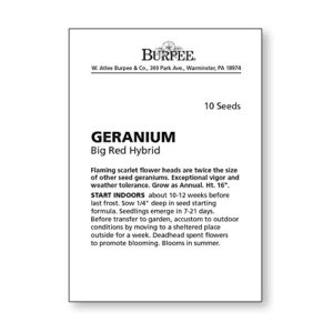 Burpee Big Red Geranium Seeds 10 seeds