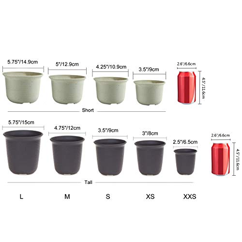 T4U 4.25 Inch Plastic Planter Pots with Saucer Brown Set of 10, Seeding Nursery Planter Pot with Drainage and Tray for Flowers Herbs African Violets Succulents Orchid Cactus Indoor Outdoor