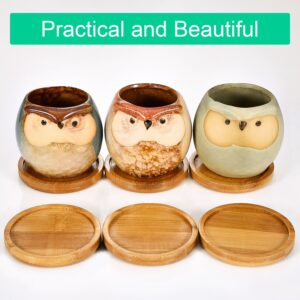 Trays 2.5 Inch Bamboo Round Plant Saucer for Most Plant Pot Flower Pot, Solution for Owl Pot with Hole (6 Pack)